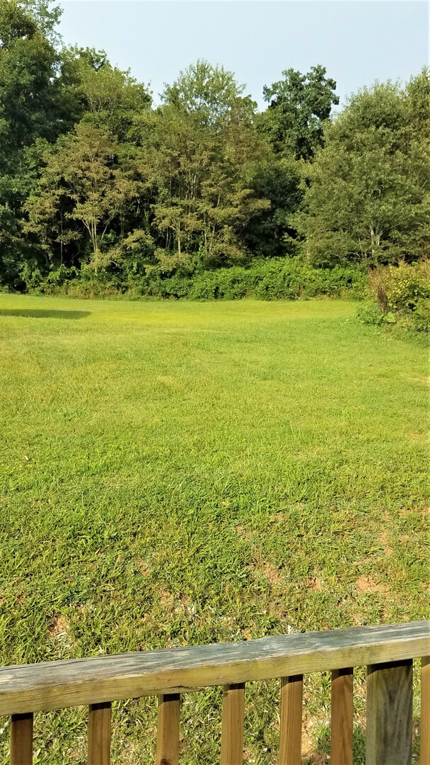 Building Photo - 1617 Nettle Knob Rd