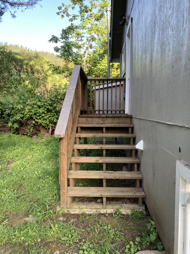 Back steps - 405 Newton Rd