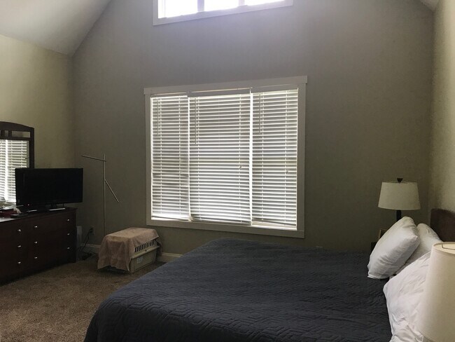 Building Photo - 263 Solamere Ln