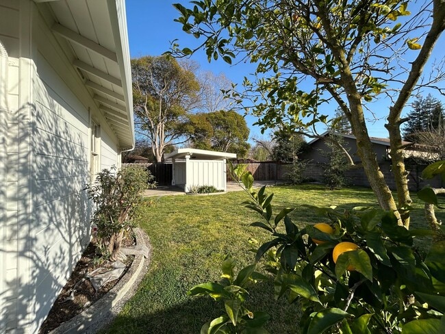 Building Photo - Rare Lindell Drive Single-Family Home in Prime Walnut Creek Location!