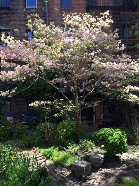 Building Photo - 72 Montgomery St