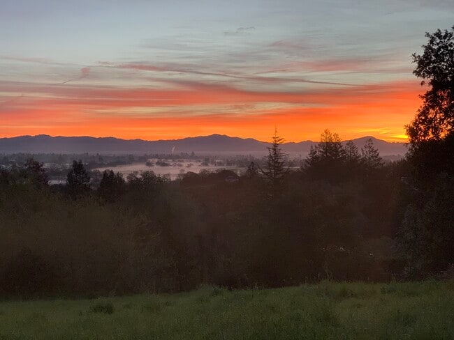 Building Photo - 7605 Atkinson Rd