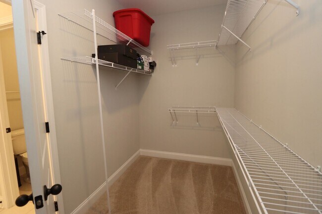 Building Photo - Fabulous 4 bedroom 2.5 Bath House ~ Minutes to Fort Jackson ~ Available June 2026!