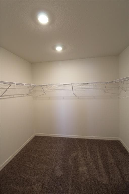 Building Photo - 10915 Bluestem Cv