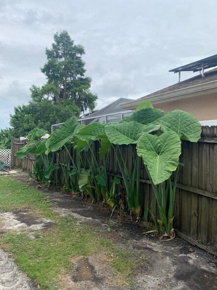 Building Photo - 8211 Natchez St