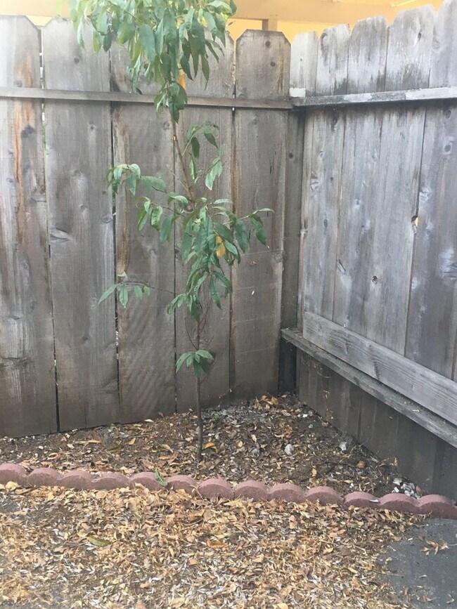 Building Photo - Chico 2 bed, one bath Duplex Private courtyard, Pool and Shared Laundry