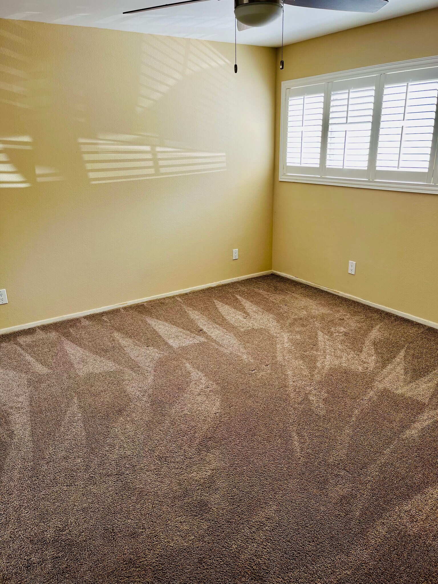 Lower bedroom - 1731 Harriman Ln
