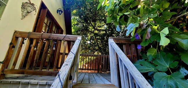 Building Photo - 2038 N Las Palmas Ave