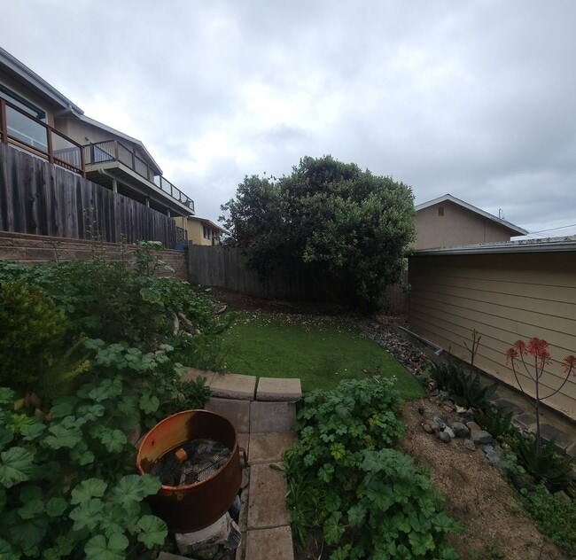Building Photo - Views of Morro Bay in this cozy hillside cottage!