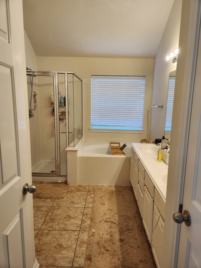 Building Photo - 5103 Forest Sage Ln