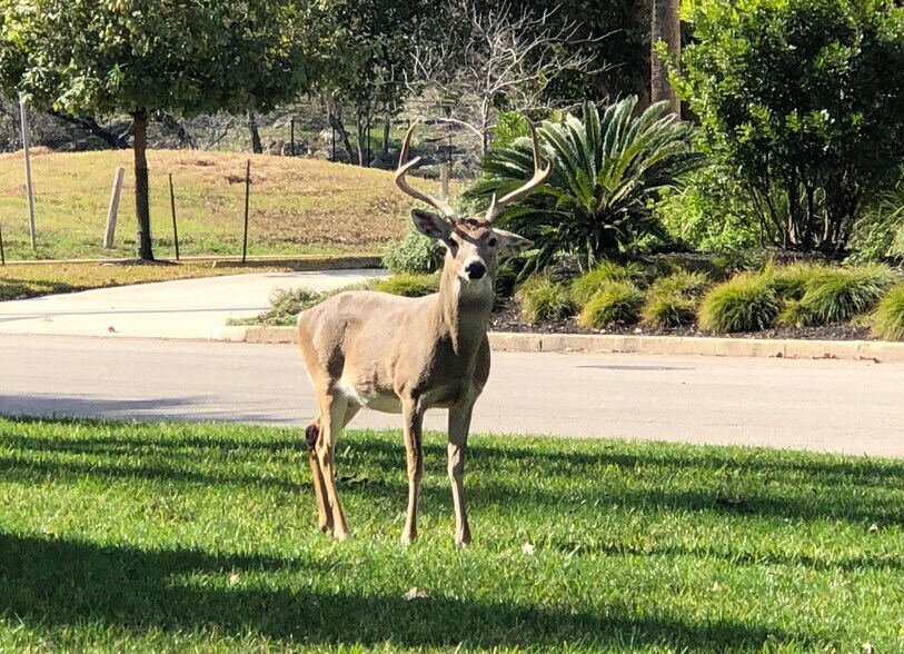 Friendly neighbors. - 1034 Elizabeth Ave