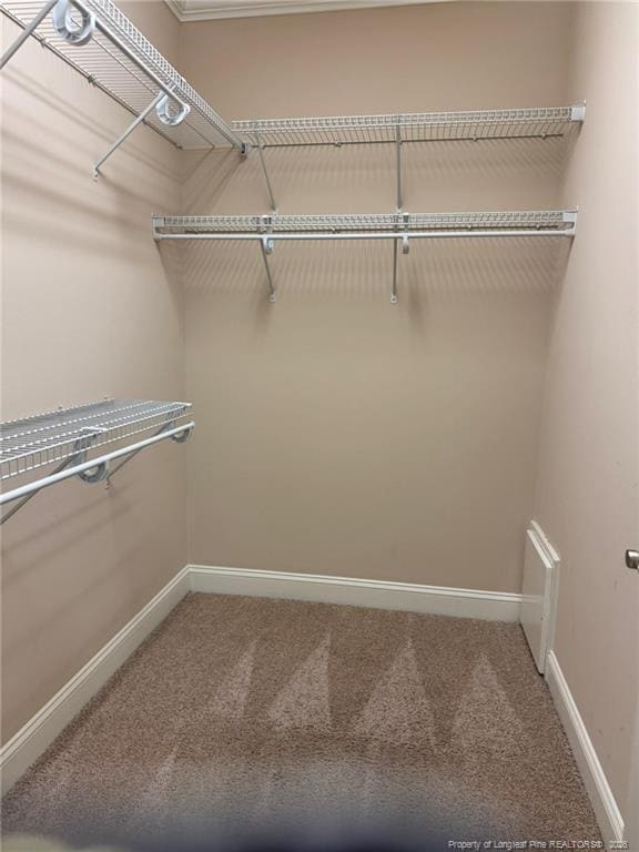 Building Photo - 381 Gallery Dr