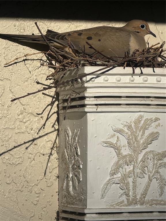 Building Photo - 8701 Village Green Blvd