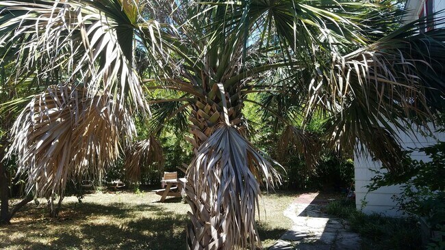 Building Photo - 902 1/2   E 43rd