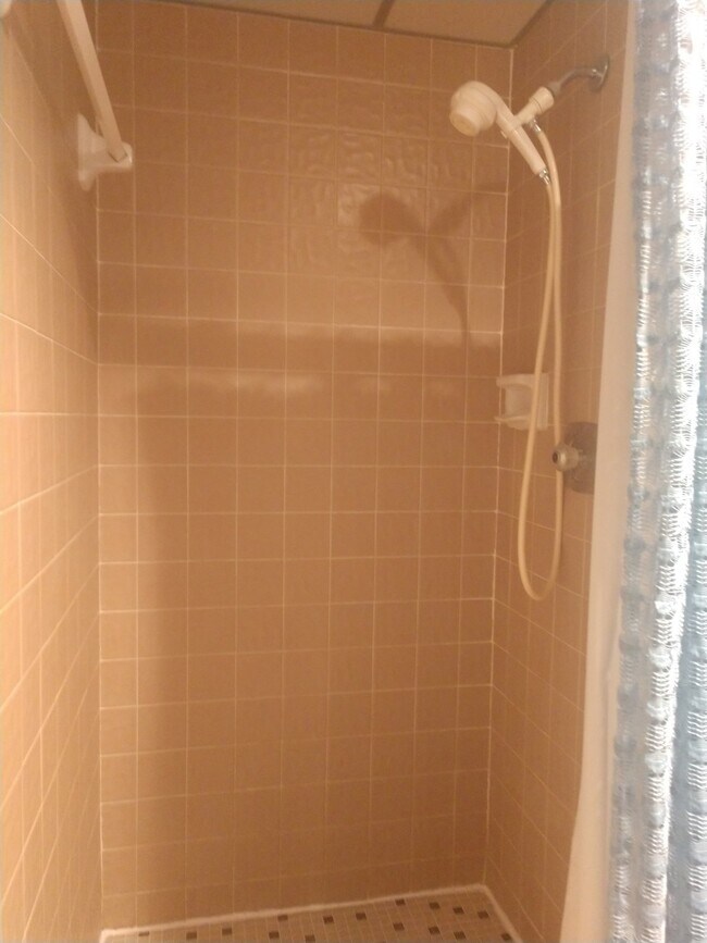 Building Photo - 2 Bedroom/2 Bath Palm Harbor Condo