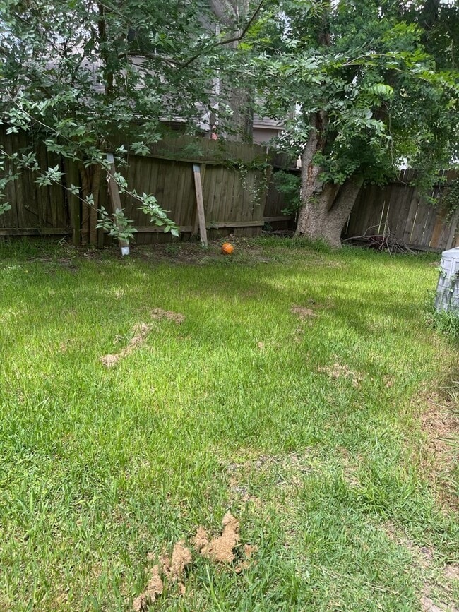 Building Photo - 5922 Cinnamon Creek Cir