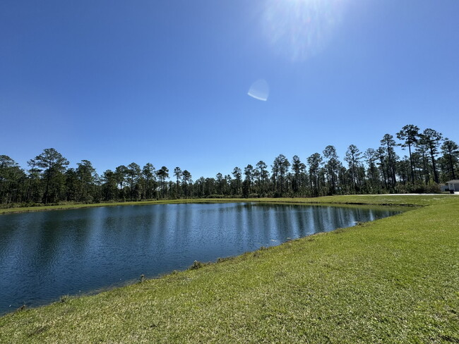 Building Photo - Village Park - Lake Asbury