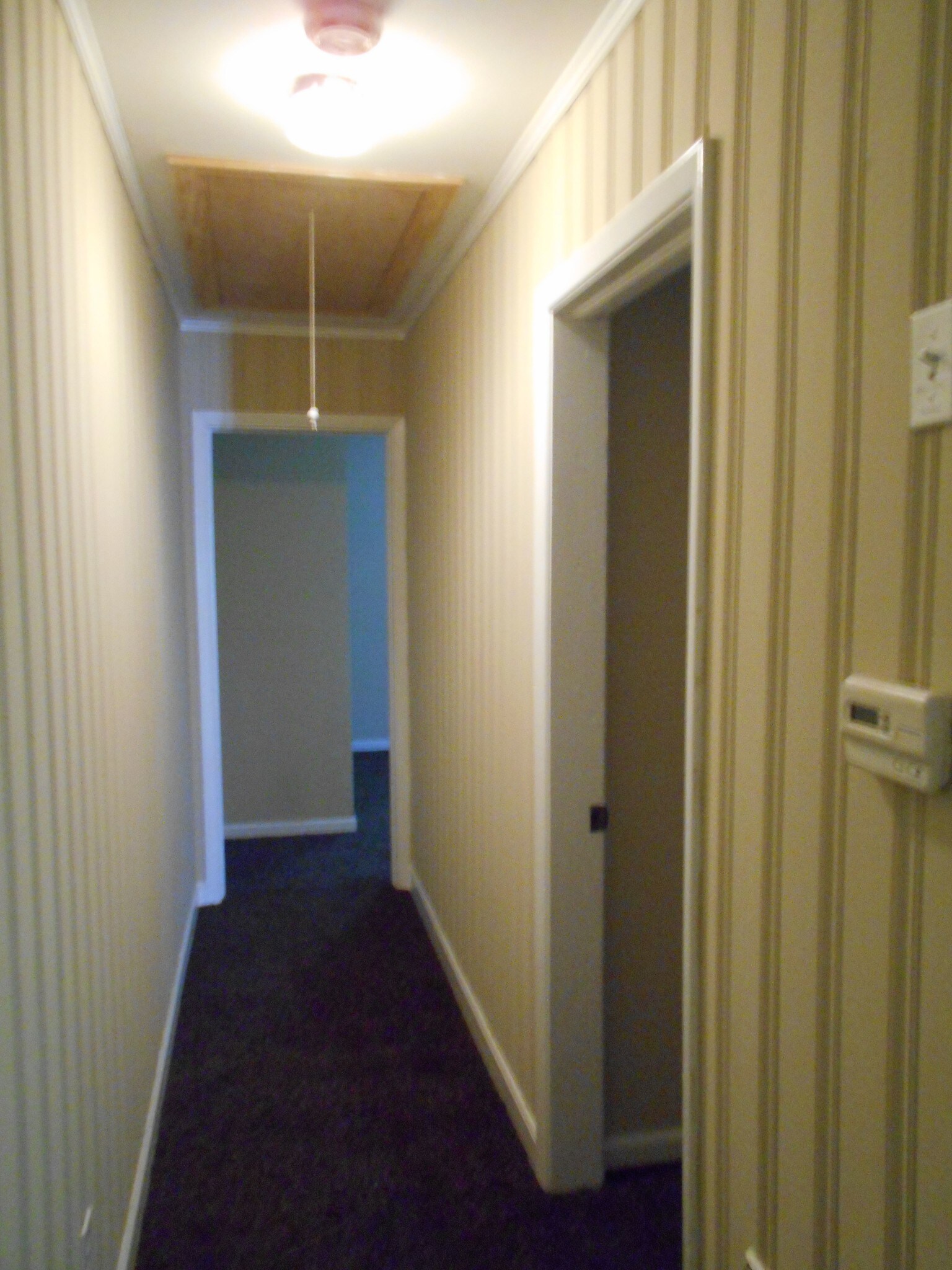 Hallway leading to bedrooms - 1728 E Avalon Cir