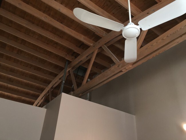 Vaulted Ceiling - 2334 W Polk St