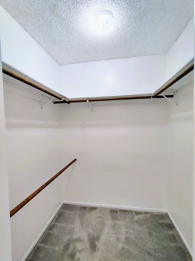 Building Photo - The Lakes Single Story!