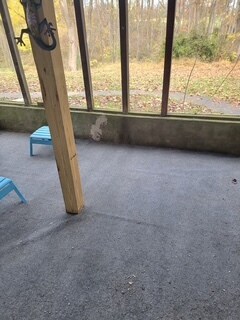 Building Photo - 11708 Locust Dale Ct