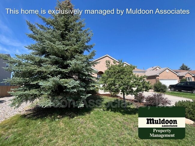 Building Photo - 6231 La Plata Peak Dr
