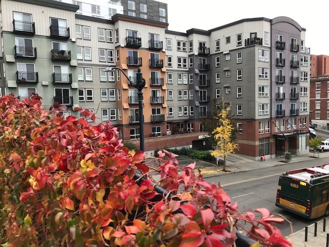 Building Photo - 108 5th Ave S