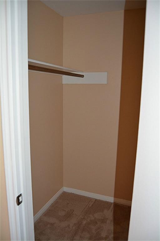 Building Photo - 3500 Tangle Brush Dr