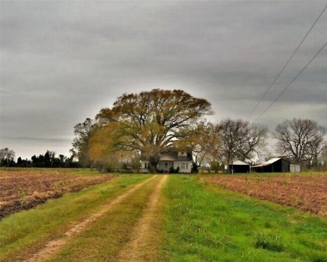 Building Photo - 2223 Co Rd 107