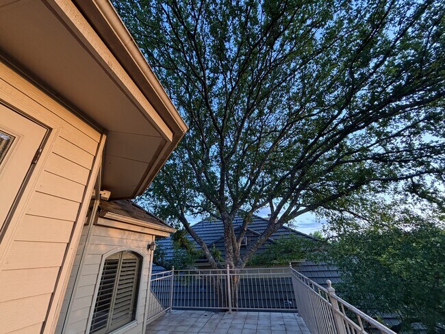 Building Photo - 131 Westcourt Ln