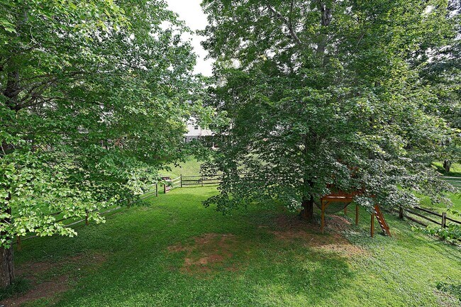 Building Photo - Pet-Friendly N. Albemarle Home With Fenced Yard