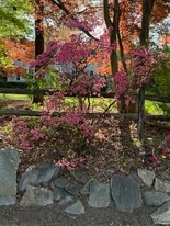 Building Photo - 42 Quaker Path