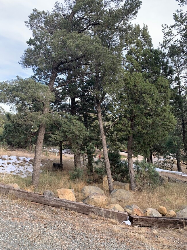 Building Photo - 112 Pine Knot Trail