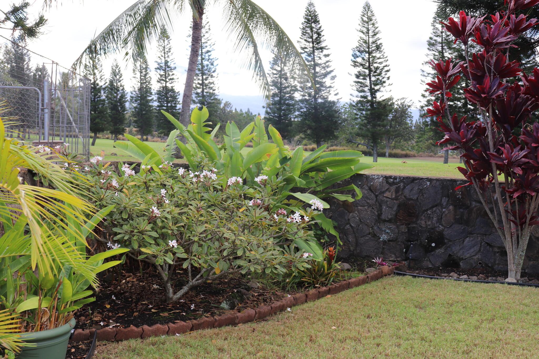 Building Photo - 2886 Ualani Street