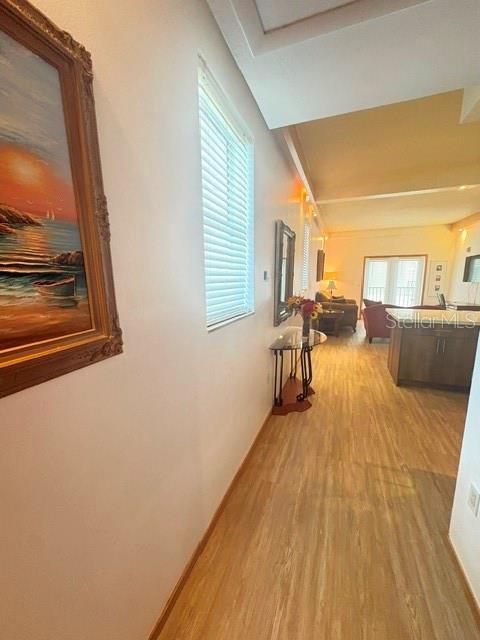 Building Photo - 101 Palm Harbor Pkwy