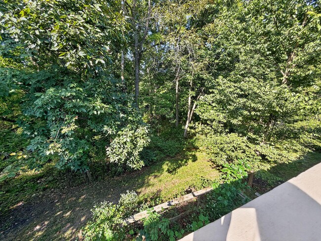 Building Photo - 5318 Godas Cir