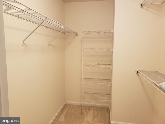 Building Photo - 8330 Leighlex Ct