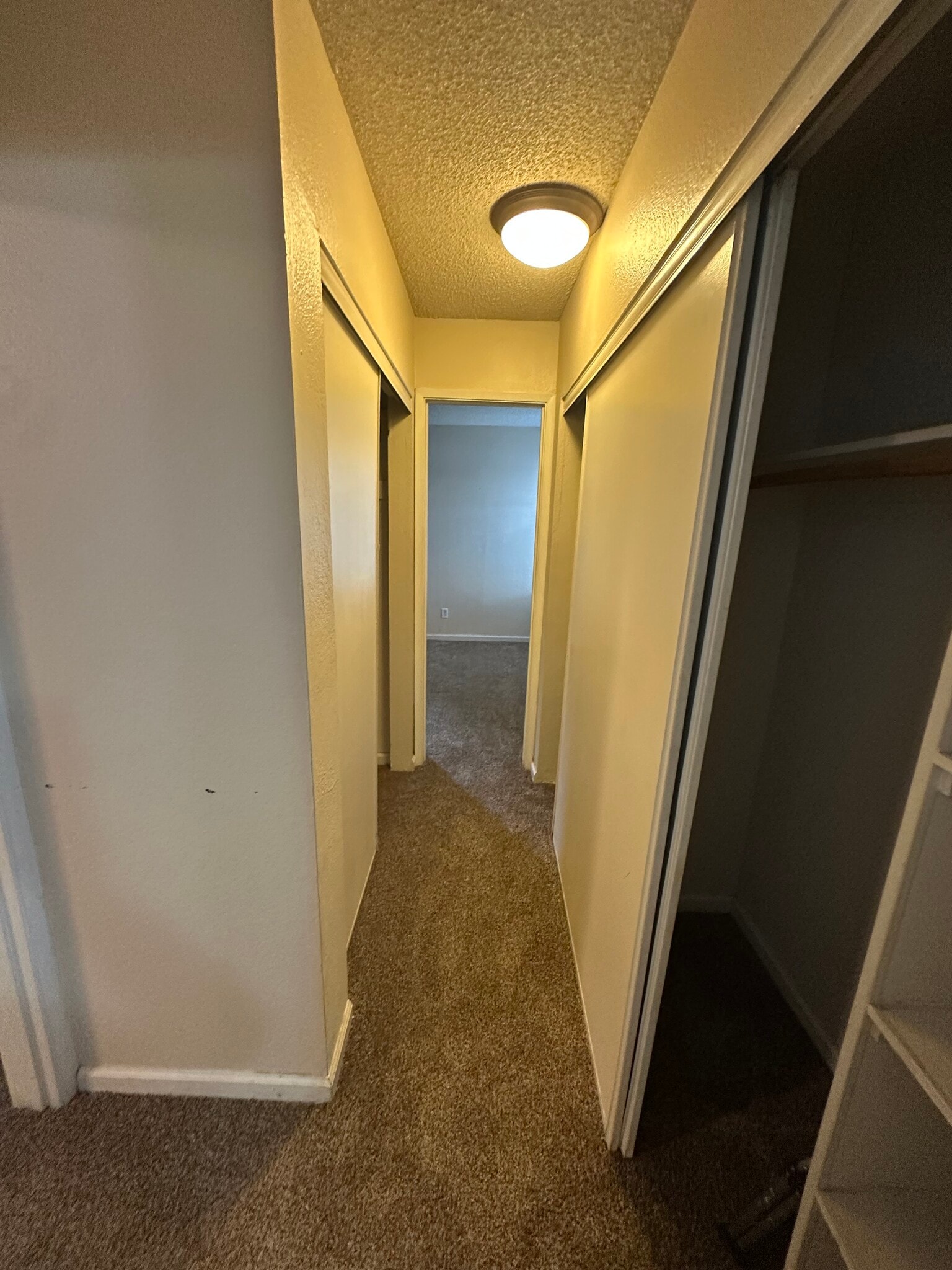 Building Photo - 1333 N Camino Alto