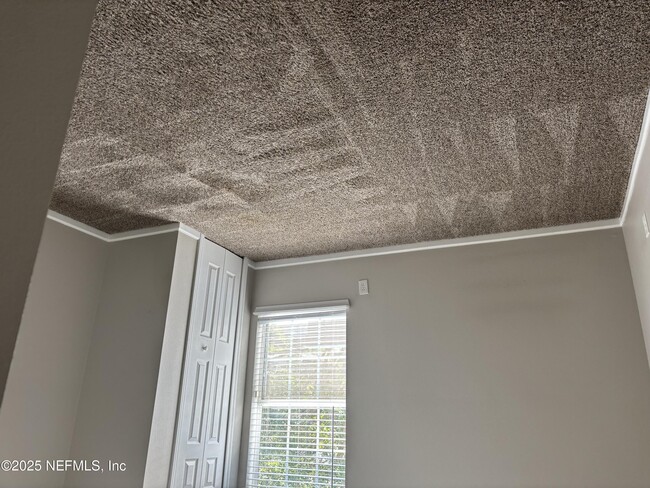 Building Photo - 241 Leese Dr