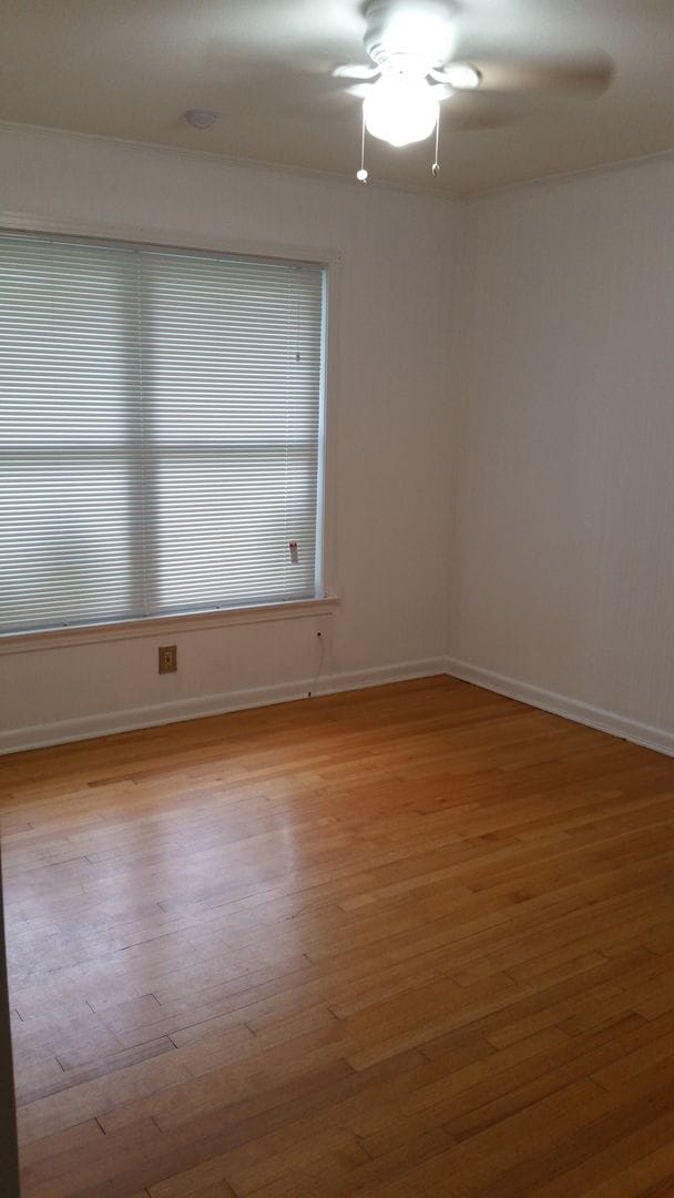 Building Photo - 311 Waxwood Ln