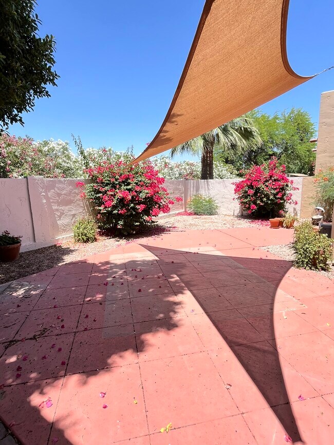 Building Photo - 7955 E Chaparral Rd