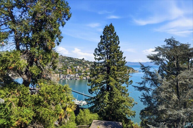 Building Photo - 172 Bella Vista Ave