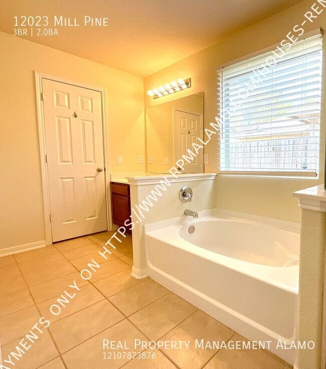 Building Photo - 12023 Mill Pine