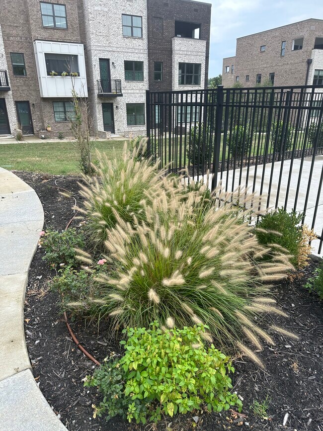 Building Photo - 704 Inspiration Blvd