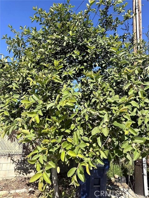 Building Photo - 8717 Tilmont Ave