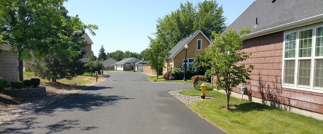 Primary Photo - College Place 17