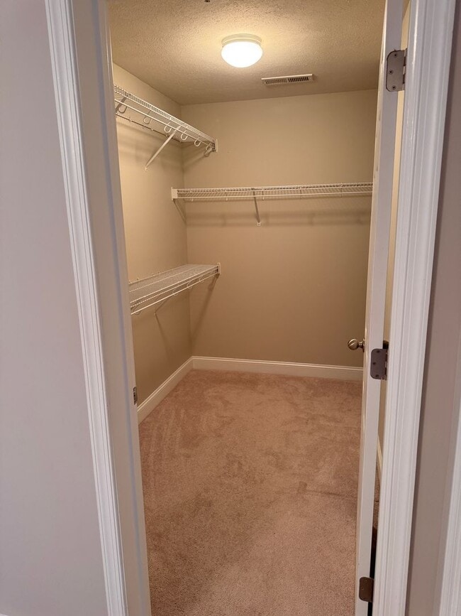 Building Photo - 3 Bedroom || 2 Bathroom Main Level Apartme...