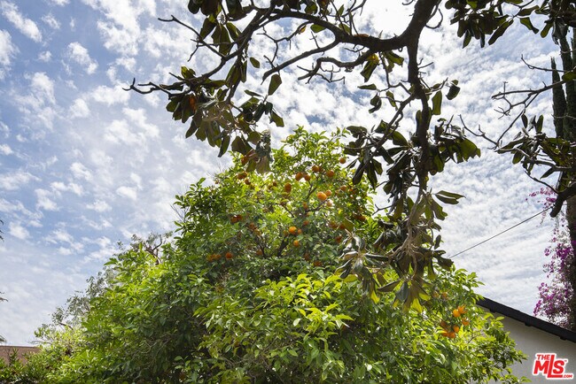 Building Photo - 14843 Morrison St