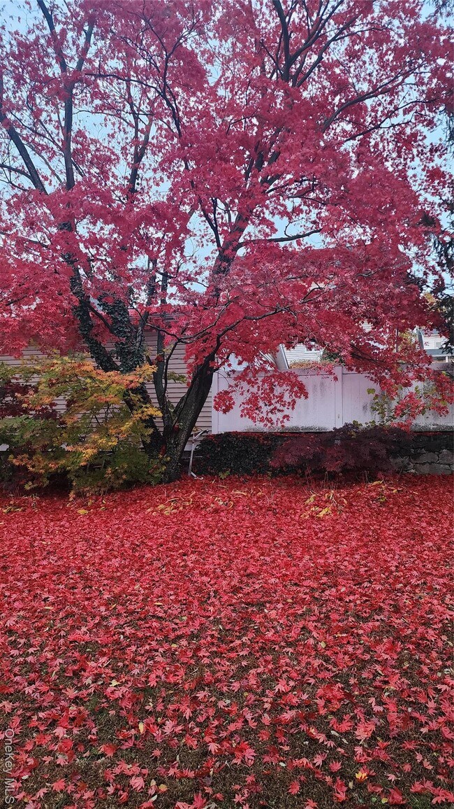 Building Photo - 22 Beech St