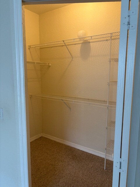 Building Photo - 1400 Lake Shadow Cir